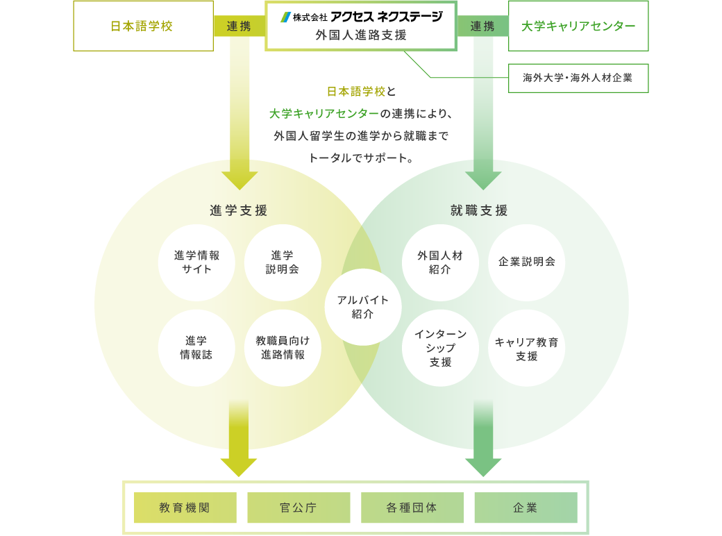 日本語学校と大学キャリアセンターの連携により、外国人留学生の進学から就職までトータルでサポート。