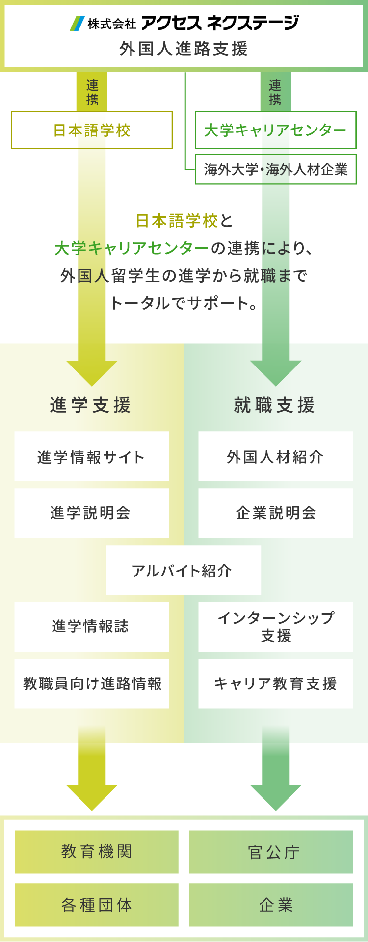 日本語学校と大学キャリアセンターの連携により、外国人留学生の進学から就職までトータルでサポート。